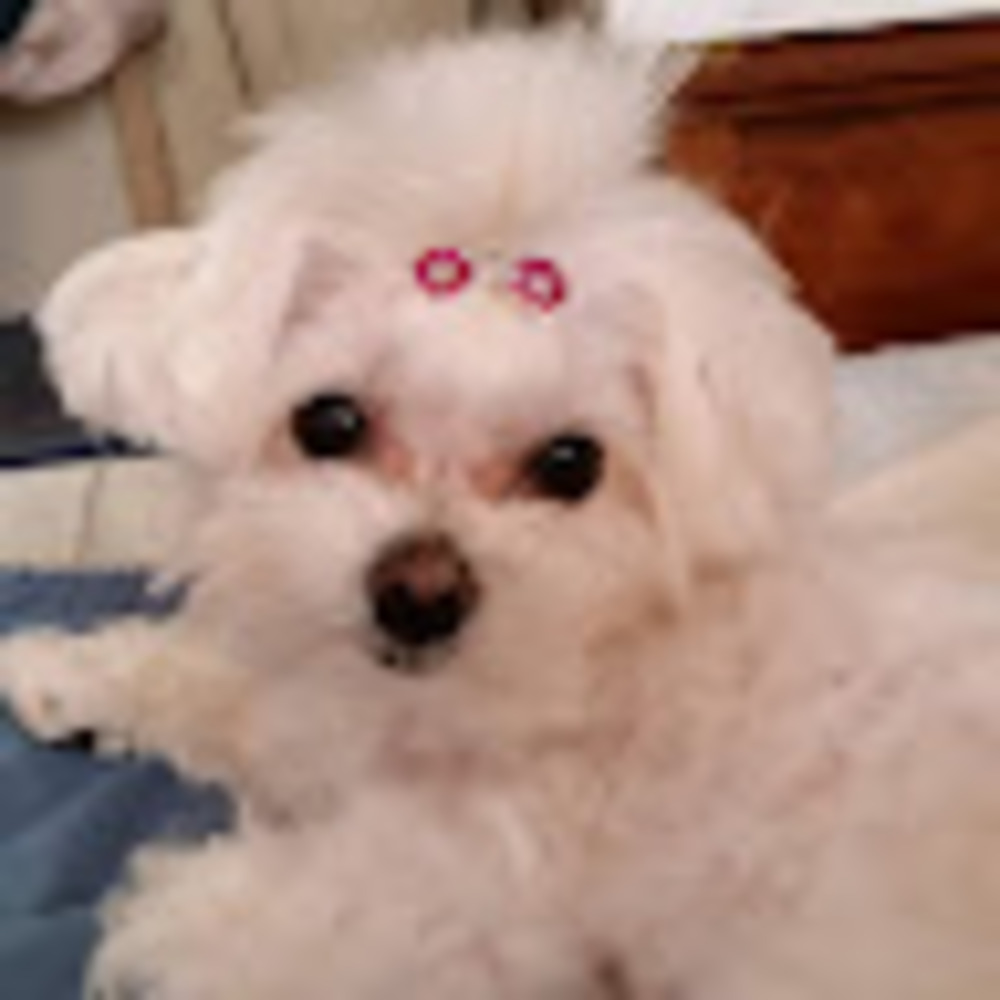 Meet your Posher, Rebecca